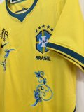 2026 Brazil Embroidered Version Fans Soccer Jersey