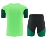 26-27 Mexico High Quality Training Short Suit