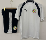 26-27 Senegal High Quality Training Short Suit