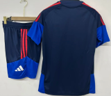 26-27 Lyon High Quality Training Short Suit