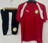 26-27 Senegal High Quality Training Short Suit