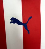 2016-2017 Chivas Centennial commemorative edition Soccer Jersey