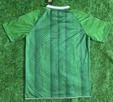 26-27 Real Betis Green Training Shirts