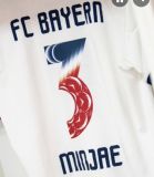 26-27 Bayern Away Long Sleeve Fans Soccer Jersey (长袖-印特别版字体)