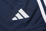 2024 AD Royal blue Training Short Suit