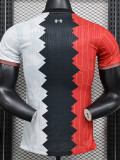 24-25 LIV Special Edition Player Version Training Shirts *三混色
