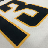 22-23 Indiana Pacers GEORGE #13 White Top Quality Hot Pressing NBA Jersey