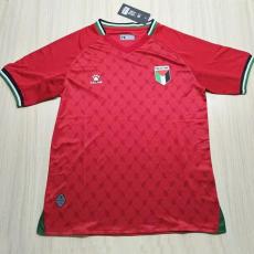 24-25 Palestine Away Fans Soccer Jersey