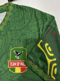 2025-26 Mali Green Player Version Soccer Jersey