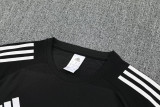 25-26 Argentina Black Training short Suit