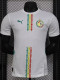24-25 Senegal Home Player Version Soccer Jersey (带星)