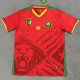 25-26 Cameroon Away Fans Soccer Jersey
