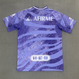 25-26 Tigres UANL Purple Training shirts