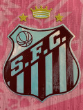24-25 Santos FC Pink Special Edition Player VersionTraining shirts