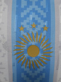 24-25 Argentina Comma Blue Special Edition Player Version Soccer Jersey