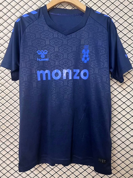 24-25 Coventry City Special Edition Fans Soccer Jersey