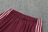 25-26 Bayern Jujube red Training short Suit