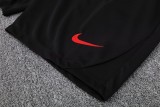 25-26 BAR Red blue Training Short Suit