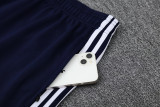 2025 AD Lake blue Jacket Tracksuit #2314