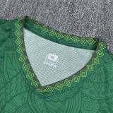 2025-26 Mali Green Fans Soccer Jersey