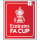 FA CUP (英足总杯7次)