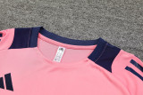 2024 AD Pink Training Short Suit