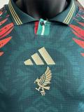 25-26 Mexico Green Special Edition Long Sleeve Player Version Soccer Jersey (长袖球员)