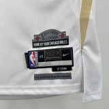 24-25 BULLS LAVINE #8 White City Edition Top Quality Hot Pressing NBA Jersey