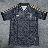2025-26 LIV Grey Black Special Edition Training shirts