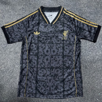 2025-26 LIV Grey Black Special Edition Training shirts