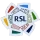 RSL(45沙特联)左袖