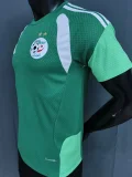 26-27 Algeria Green Player Version Training shirts