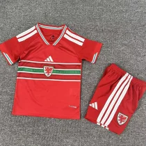 26-27 Wales Home Kids Soccer Jersey