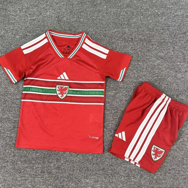 26-27 Wales Home Kids Soccer Jersey