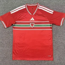 26-27 Wales Home Fans Soccer Jersey