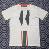 25-26 Palestine White Special Edition Training shirts 英文版