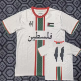 25-26 Palestine White Special Edition Training shirts 阿拉伯文版