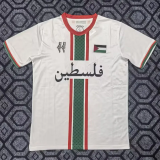 25-26 Palestine White Special Edition Training shirts 阿拉伯文版
