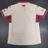 25-26 Real Murcia Away Fans Soccer Jersey
