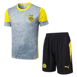 25-26 Dortmund Light gray Training Short Suit #D25212