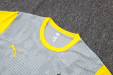 25-26 Dortmund Light gray Training Short Suit #D25212