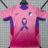 25-26 Hoffenheim Pink Special Edition Fans Soccer Jersey