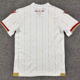 25-26 Standard Liege Away Fans Soccer Jersey