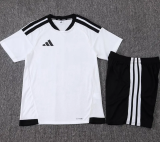 25-26 AD White Player Version Training Short Suit (球员短套装)#D2506