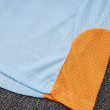 25-26 AD Light gray Player Version Training Short Suit (球员短套装)#D2505