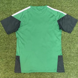 26-27 Algeria Green Fans Training shirts (红格)