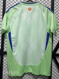 2025 Wales Away Fans Soccer Jersey