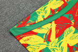 25-26 Senegal Green Training Short Suit