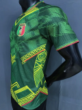 26-27 Mali Away Player Version Soccer Jersey