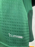 26-27 Mexico Green Player Version Training shirts